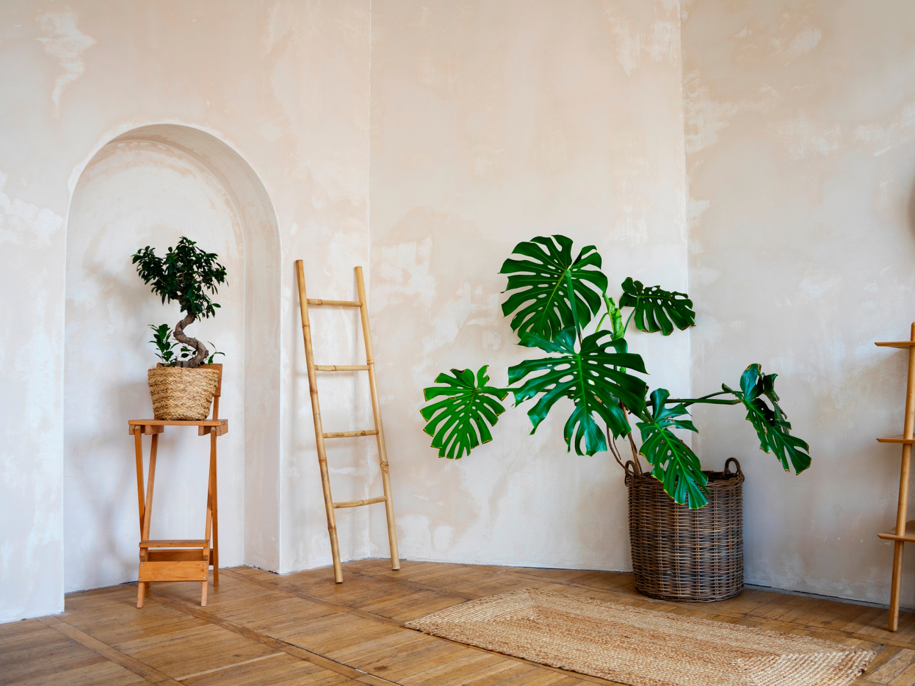 Earth interior decor with plants like Monstera deliciosa