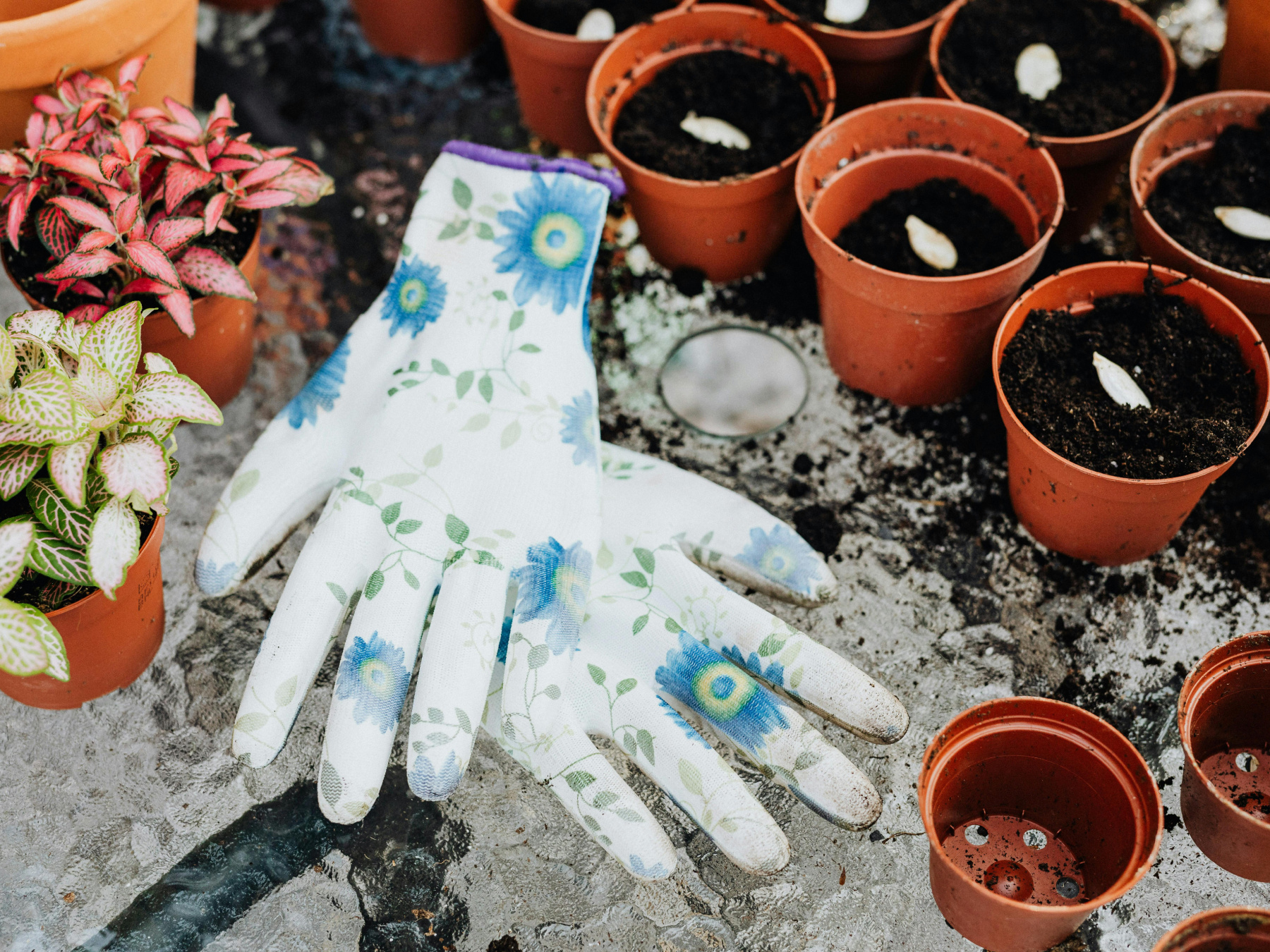 Garden gloves and plant pots