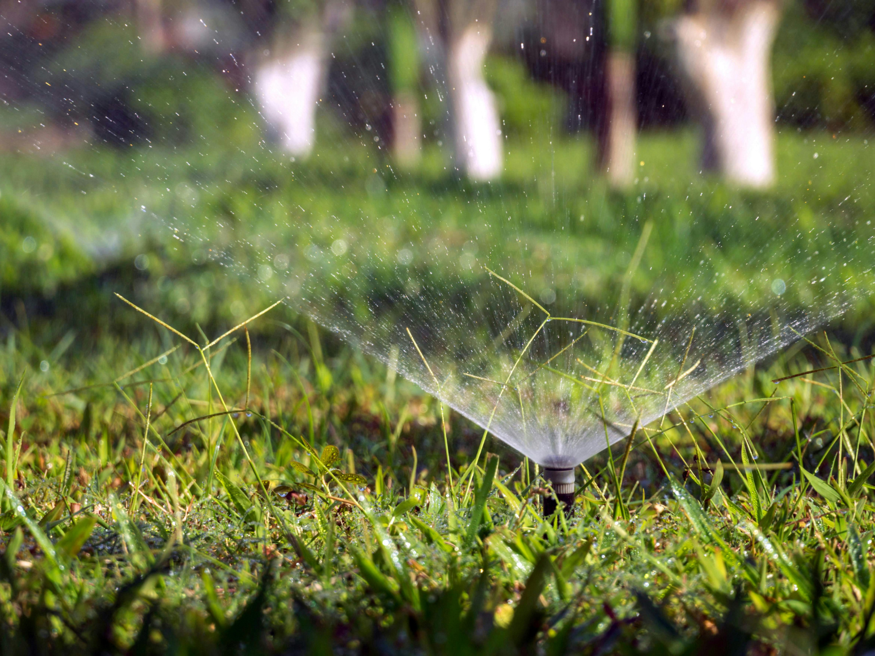 A smart irrigation system waters a lawn