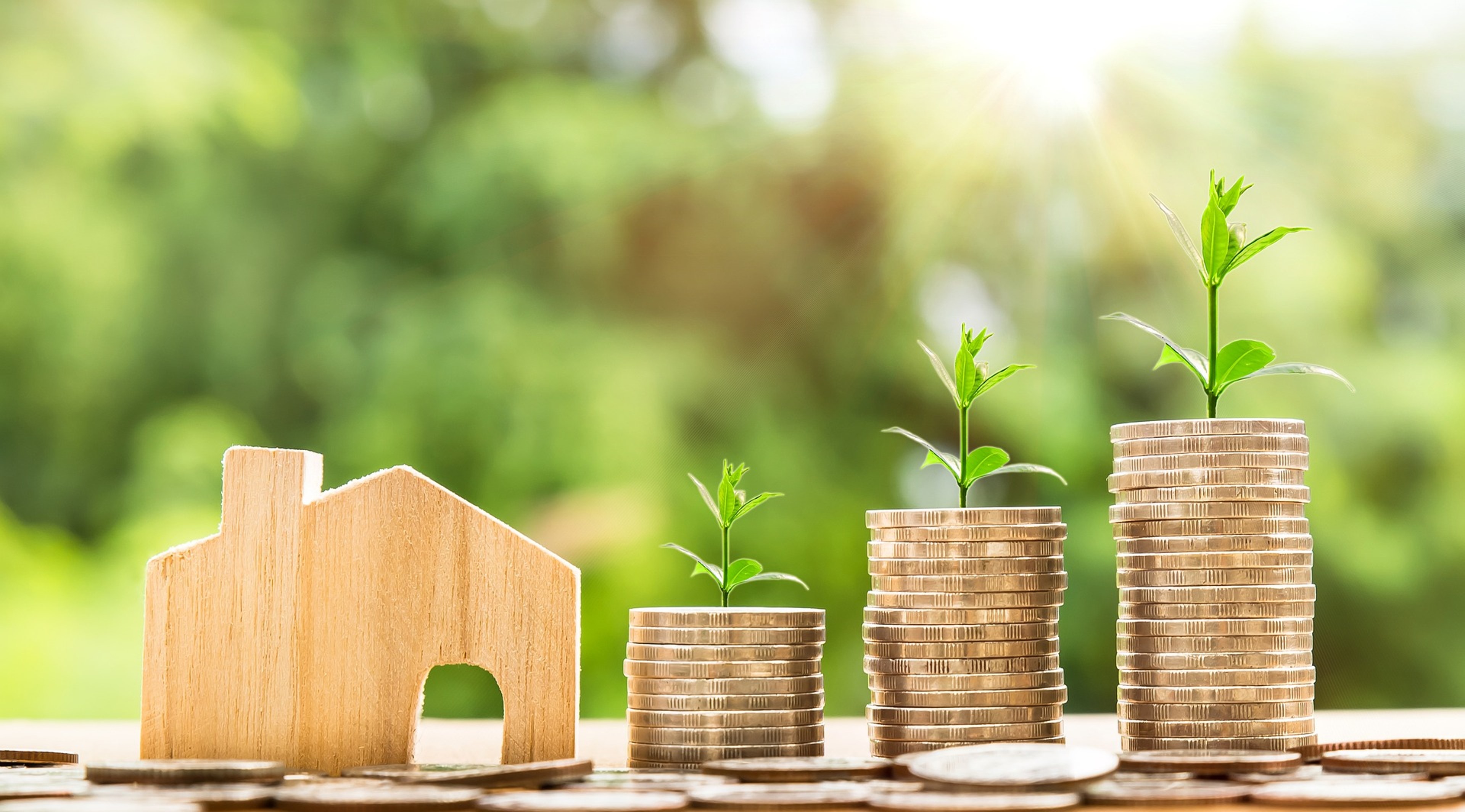 Saving deposit  (2)