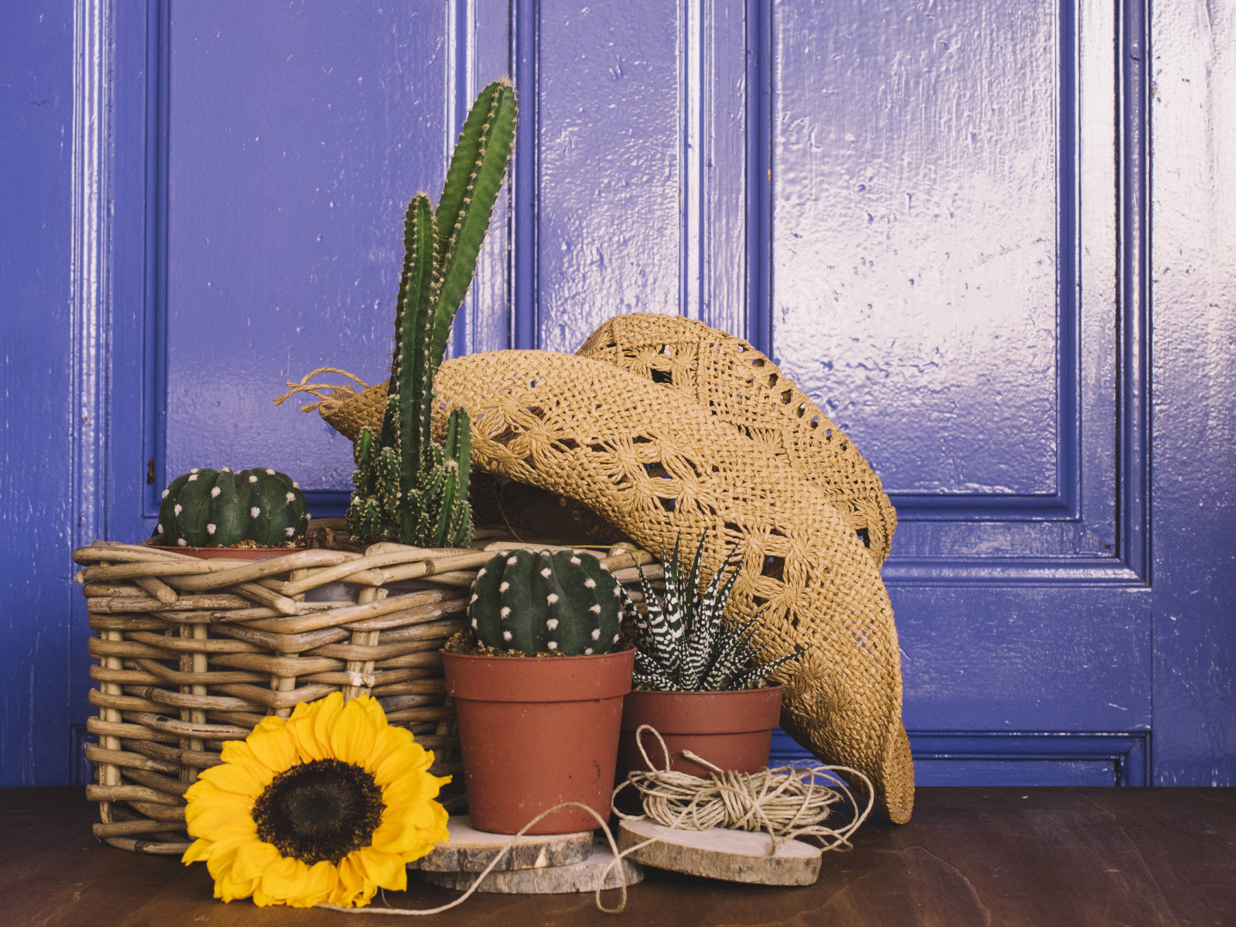 Rattan basket, succulents, flowers, and a summer hat