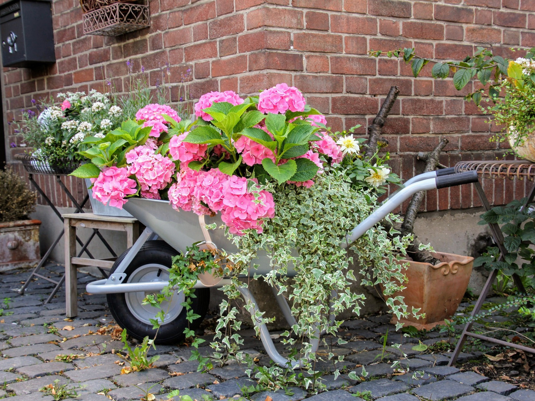 Pink flowers in wheel barrow