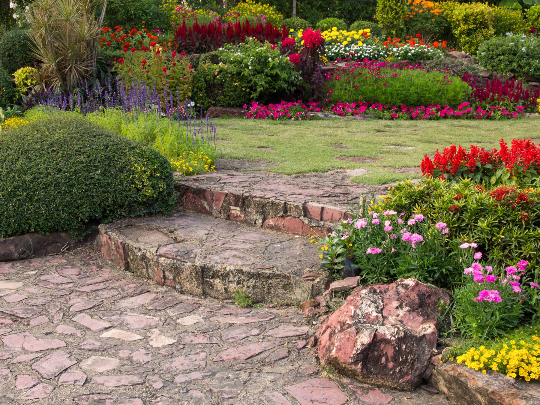 Gorgeous summer garden with red and purple flowers and large stone poth