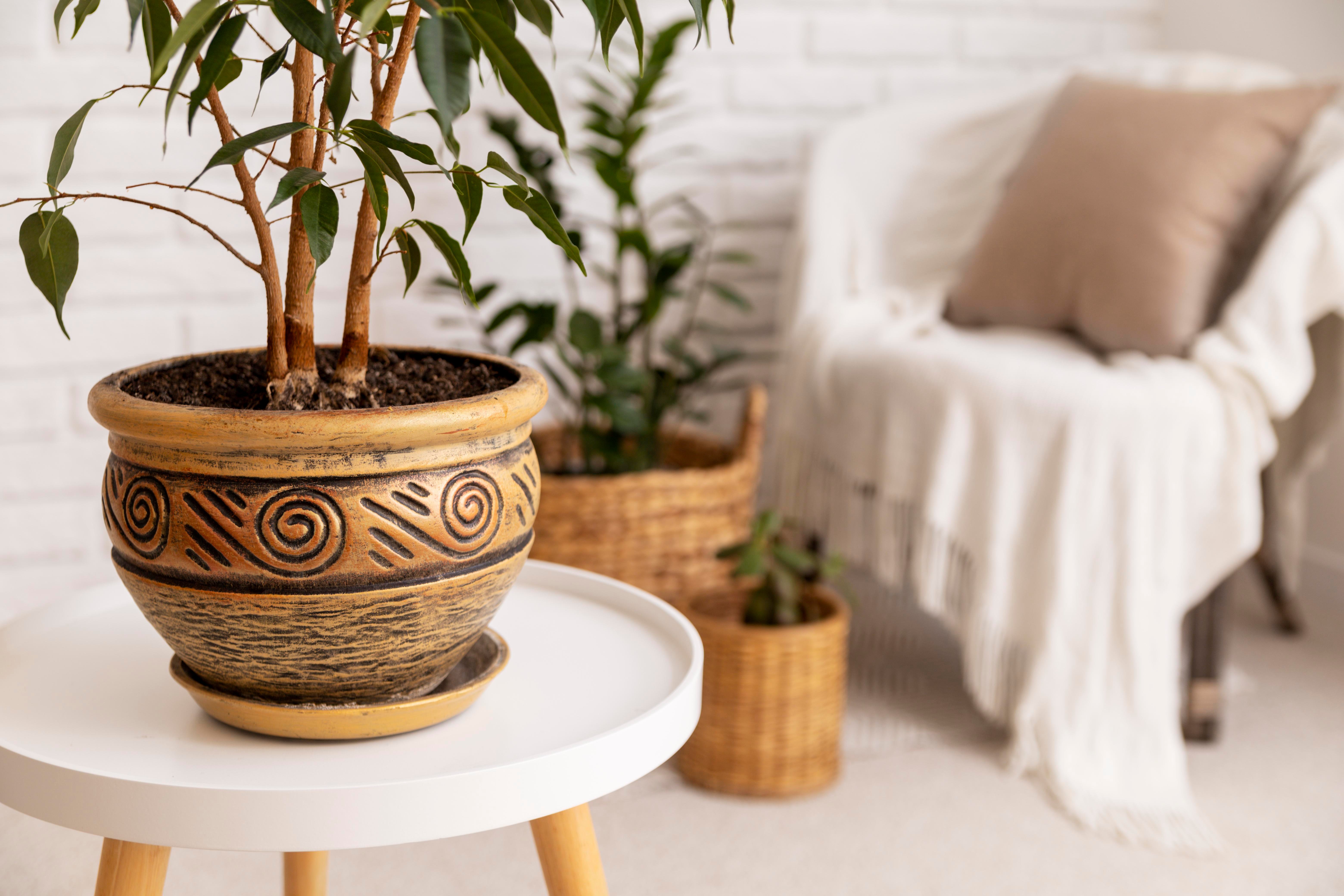 Winter decor trends 4 - biophilic