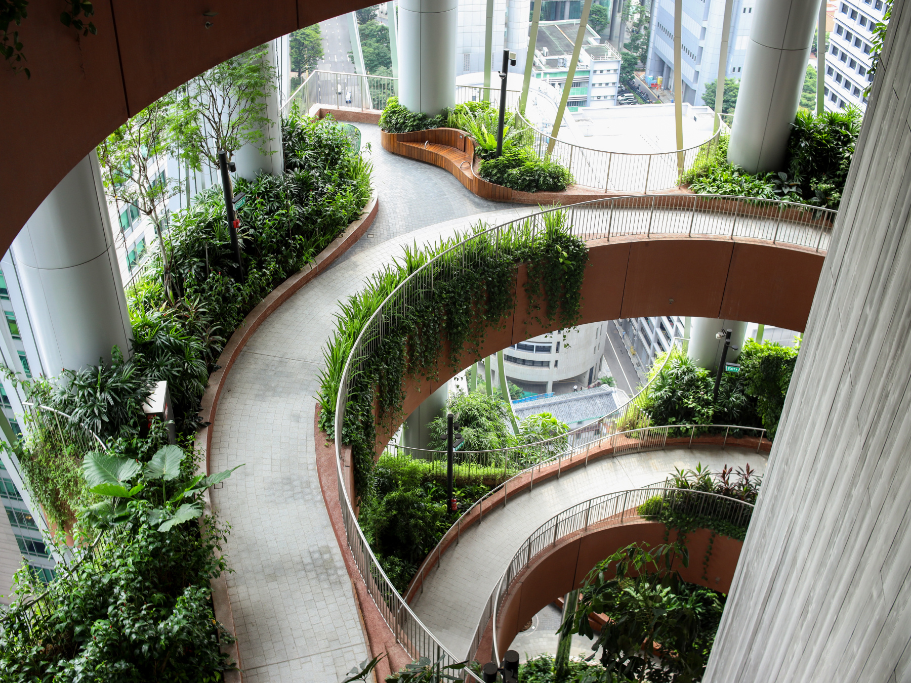 Biophilic architecture aims to create functional, inspiring, and restorative spaces