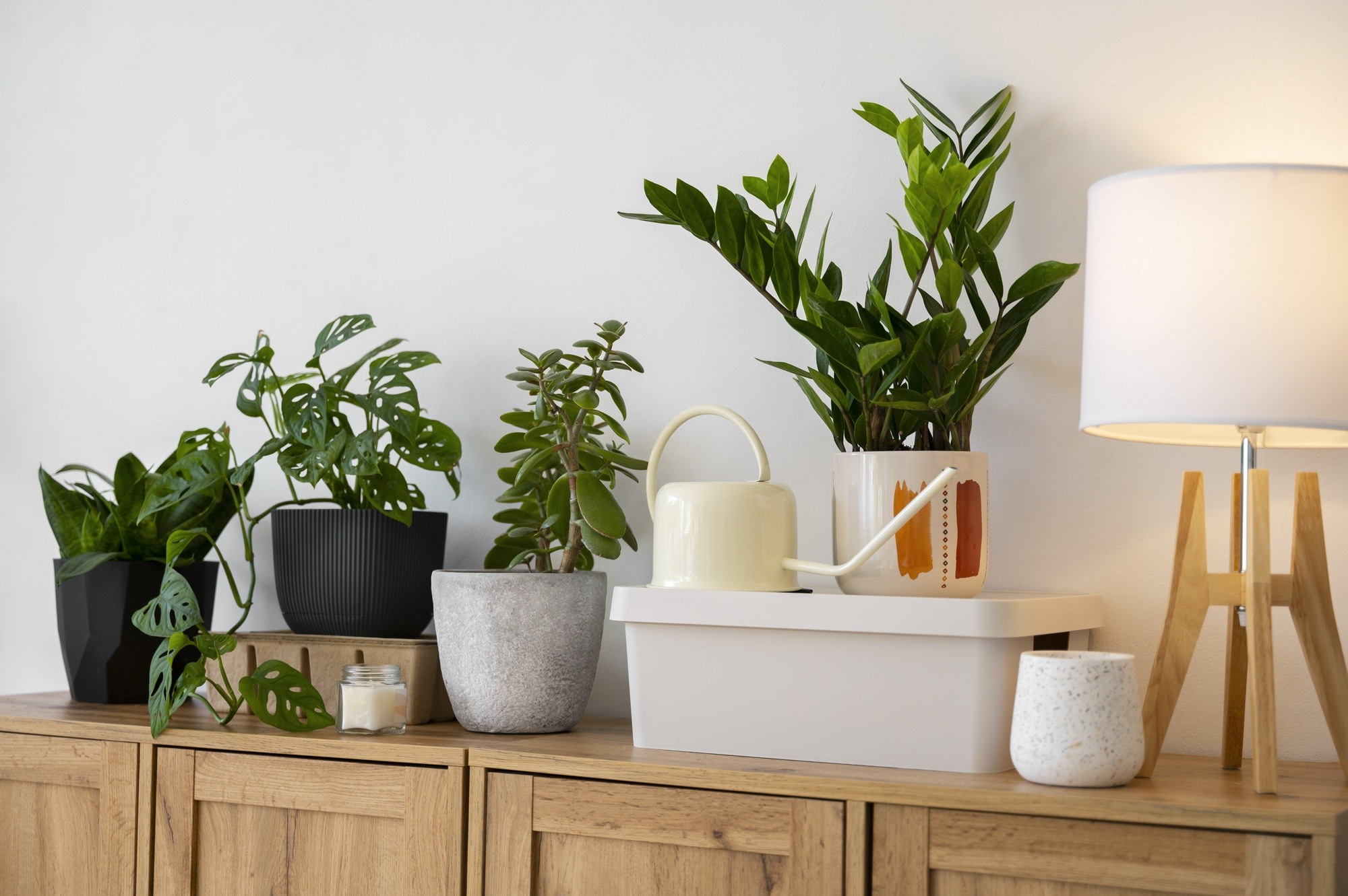 Adding indoor plants to your home is a great way to introduce tranquillity