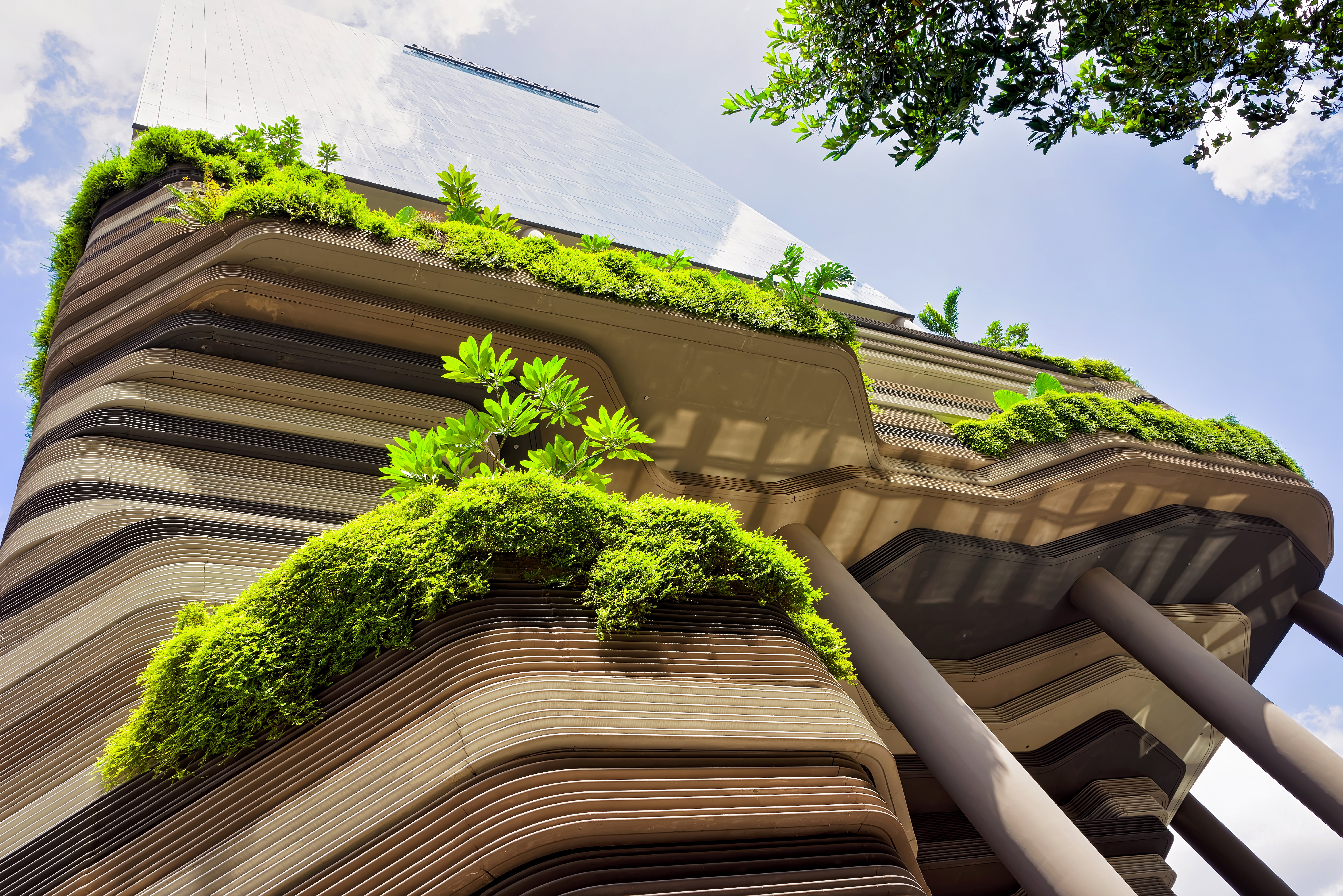 Biophilic design enhances the look of buildings and makes the environment part of our infrastructure